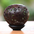 Coconut shell sculpture, 'Sea Turtles' - Coconut shell sculpture thumbail