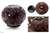 Coconut shell sculpture, 'Playful Squirrels' - Coconut shell sculpture thumbail