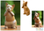 Wood sculpture, 'Speak No Evil Cat' - Suar Wood Sculpture (image 2) thumbail