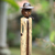 Wood sculpture, 'Indonesian Inspector' - Wood sculpture (image 2b) thumbail