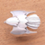 Men's sterling silver ring, 'Eagle Power' - Men's Sterling Silver Ring from Indonesia (image 2d) thumbail