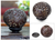 Coconut shell sculpture, 'Trees of Life' - Coconut Shell Sculpture