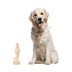 Wood sculpture, 'Kwan Im Goddess' - Crocodile Wood Hindu Sculpture