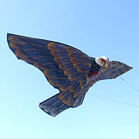 Kite, 'Golden Garuda' - Handcrafted Balinese Garuda Golden Eagle Kite