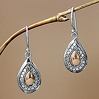 Gold plated dangle earrings, 'April Sun' - Gold Plated and Sterling Silver Dangle Earrings