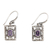 Amethyst dangle earrings, 'Mythic Garden' - Sterling Silver and Amethyst Dangle Earrings (image 2a) thumbail
