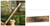 Bamboo flute, 'White Dragon Song III' - Bamboo flute thumbail