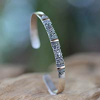 Silver Bracelet with 18k Gold Accents,'Vine Tendrils'