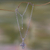 Amethyst cross necklace, 'Purity of Spirit' - Balinese Cross Necklace with Amethyst and Pearl thumbail
