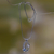 Blue topaz pendant necklace, 'Mother Sea Turtle' - Silver and Blue Topaz Turtle Necklace thumbail