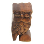 Wood puzzle box, 'The Owl's Secret' - Owl Theme Wood Puzzle Box