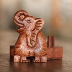 Wood puzzle box, 'Elephant Secret' - Elephant Theme Wood Puzzle Box
