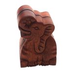 Wood puzzle box, 'Elephant Secret' - Elephant Theme Wood Puzzle Box
