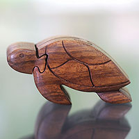 Wood puzzle box, 'Turtle Wisdom'