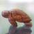 Wood puzzle box, 'Turtle Wisdom' - Hand-carved Suar Wood Puzzle Box
