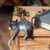 Wood sculpture, 'Tabby Cat Relaxes' - Signed Balinese Tabby Cat Sculpture (image 2j) thumbail