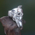 Men's sterling silver ring, 'Tusked Pig' - Artisan Handcrafted Men's Sterling Silver Pig Ring (image 2b) thumbail