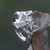 Men's sterling silver ring, 'Fierce Fox' - Men's Fair Trade Sterling Silver 925 Fox Ring thumbail