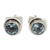 Blue topaz stud earrings, 'Blue Simplicity' - Classic Blue Topaz and Sterling Silver Round Stud Earrings thumbail