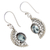 Blue topaz dangle earrings, 'Blue Eyes' - Sterling Silver Hook Earrings with Blue Topaz Gems (image 2b) thumbail
