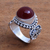 Carnelian cocktail ring, 'Incandescent Moon' - Artisan Crafted Carnelian and Sterling Silver Ring from Bali (image 2b) thumbail