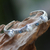 Brazalete de perlas cultivadas y topacio azul - Brazalete con bisagras de plata de ley y perlas con topacio azul