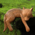 Wood sculpture, 'Shaggy Kintamani Dog' - Hand Carved and Painted Sleeping Dog Sculpture in Wood (image 2) thumbail