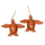Wood ornaments, 'Patient Turtle' (pair) - 2 Turtle Wood Ornaments Artisan Crafted in Indonesia thumbail