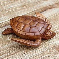 Wood box, 'Sea Turtle Guardian'