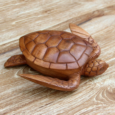 Wood box, Sea Turtle Guardian