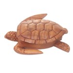 Wood box, 'Sea Turtle Guardian' - Hand Carved Wood Sculpture Decorative Box