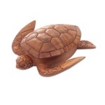 Wood box, 'Sea Turtle Guardian' - Hand Carved Wood Sculpture Decorative Box