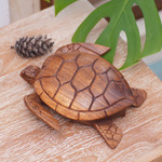 Wood box, 'Sea Turtle Guardian' - Hand Carved Wood Sculpture Decorative Box