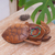 Wood box, 'Sea Turtle Guardian' - Hand Carved Wood Sculpture Decorative Box (image 2f) thumbail