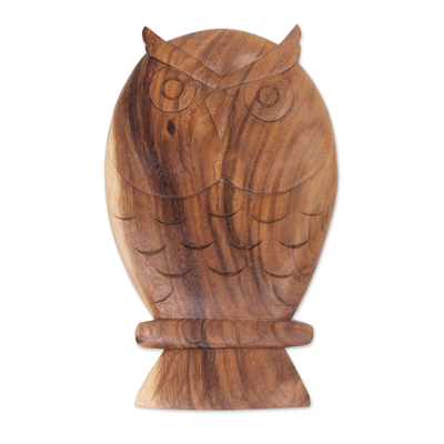 Wood wall sculpture, 'Owl Philosophy' - Hand Carved Wood Owl Wall Panel Sculpture from Bali