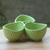 Snackschale aus Keramik - Hellgrüne Snackschale mit Blattmotiv und 3 Abschnitten