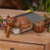 Wood sculpture, 'Watchful Ginger Cat' - Hand Carved Kitty Cat Sculpture in Medium Wood Finish (image 2j) thumbail