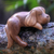Wood sculpture, 'Sleepy Cocker Spaniel' - Sleeping Cocker Spaniel Puppy Sculpture Carved in Wood (image 2) thumbail