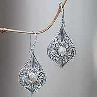 Rainbow moonstone dangle earrings, 'Shine On' - Rainbow Moonstone and Sterling Silver Dangle Earrings