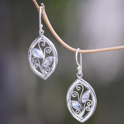 Rainbow moonstone dangle earrings, 'Paradise Leaves' - 925 Sterling Silver Leaf Earrings with Rainbow Moonstone