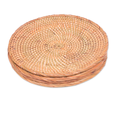 Platos para servir de fibra natural (juego de 4) - Juego de 4 platos para servir de fibra natural tejidos a mano de Bali