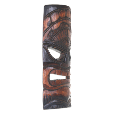 Wood mask, 'Papua Shield in Brown' - Hand Carved Wood Papua Wall Mask Brown from Indonesia