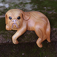 Wood sculpture, 'Curious Shih Tzu' - Hand Made Wood Dog Sculpture Natural Finish from Indonesia