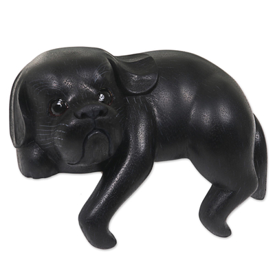 Wood sculpture, 'Curious Shih Tzu in Black' - Hand Made Wood Dog Sculpture Black Finish from Indonesia