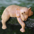 Wood sculpture, 'Napping Elephant' - Hand Carved Elephant Sculpture Natural Finish from Indonesia (image 2c) thumbail