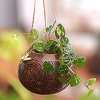 Featured review for Coconut shell hanging basket, Morning Bliss