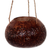 Coconut shell hanging basket, 'Morning Bliss' - Hand Made Coconut Shell Decorative Accent Circle Indonesia