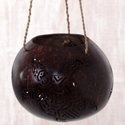 Coconut shell hanging basket, The Sea Turtle