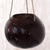 Coconut shell hanging basket, 'The Sea Turtle' - Coconut Shell Hanging Basket Turtle from Indonesia thumbail