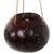 Coconut shell hanging basket, 'The Sea Turtle' - Coconut Shell Hanging Basket Turtle from Indonesia (image 2a) thumbail